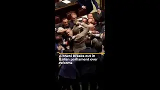 A brawl breaks out in Italian parliament over reforms | AJ #shorts
