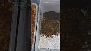 Chunky Aroid Mix #lecamagic #aroids #plantcare #aroidmix #plantdad #gardening #tips #planttips