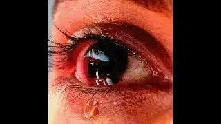 A Silent Message For Muslim 😢😢😢