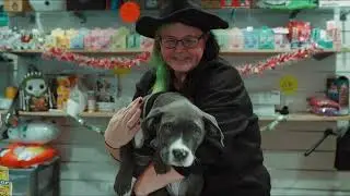 basildon market video 1