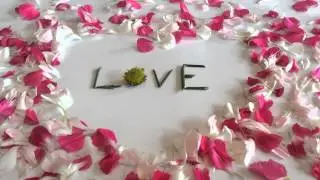 Cheerful Flowers! - Stop Motion Animation