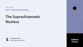 Sleep 8.2 | The Suprachiasmatic Nucleus: The Body’s Central Clock