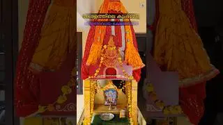 Kerala Kumbhmela Thirunavaya Navamukundha Temple #viralvideo #trendingshorts #popularshorts