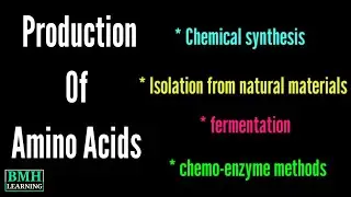Production Of Amino Acids | Industrial & Microbial Production Of Amino Acids By Fermentation |
