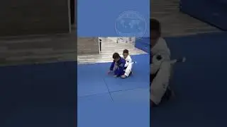 Naples Kids Brazilian Jiu jitsu | Global BJJ Kids Martial Arts