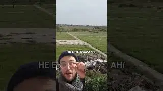 Al final no ha fallado la siembra de abono verde🌱y se vienen cositas para La Granja 😍
