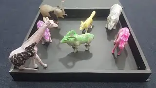 ASMR Unboxing 🎁🐅 Safari  Plastic Animal toys  Review & soft crinkle sound