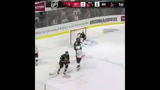 Dominik Kubal&iacute;k with a nice tip vs Coyotes #shorts #czech #nhl #hockey