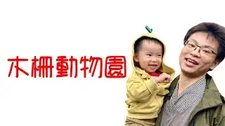 台北市立動物園木柵動物園  Vlog 影片紀錄 (無介紹/無字幕)