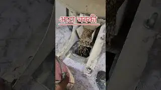 ATTA chakki || #viralvideo #trending #flourmill #attachakki #nonfollowers