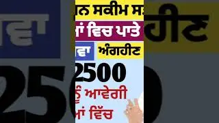Punjab Pension Scheme September 2025 | 1000 women pension scheme | Pension News Today #2500pension