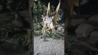 #science city #dinosaur park