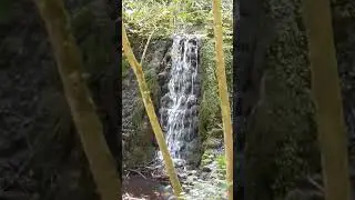 Nine Springs Vid 5 Tedgers Ramble