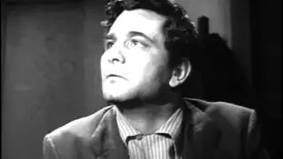 87TH PRECINCT  The Pigeon Peter Falk