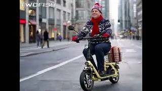 TWOFISH M5 Elite Ebike （EEC） -  Let's step into the new year happily together!