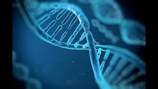 🧬Biology  G10. L.O.4 : DNA, (The building block of life ) full  explanation video 🎆
