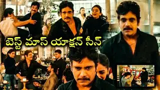 Manmadhudu 2 Movie Nagarjuna Best Mass Action Scene || Rakul Preet Singh || WOW TELUGU MOVIES