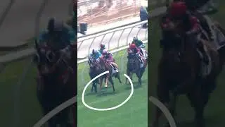 DID YOU KNOW&hellip; About horses changing leg/lead ⁉️