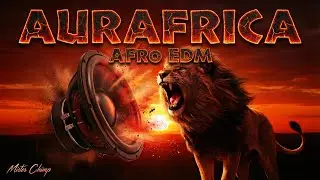 High Energy Afro EDM & Festival Music / AURAFRICA |  by Mister Chimp 