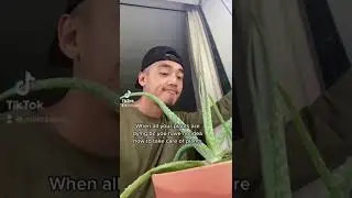 Give me your best plant health tip😬🪴