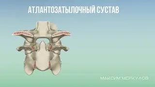 Атлантозатылочный сустав