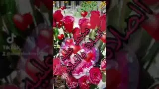 ام النبي ،المولد النبوي الشريف، كل عام وأنتم بخير