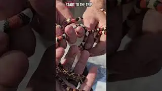 Flipping Scarlet Kingsnakes in January