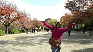 Interessting Amazing !! Botanically Osaka 's castles with the  SAKURA 's colour tree  for you