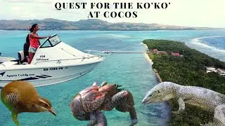 Living in Guam - Cocos Island Adventure | Monitors, Rails, and Star Sand