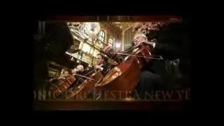 Wiener Philharmoniker - News year's concert 2012