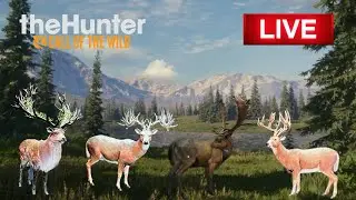 Hunting for mule deer!!