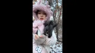 Winter Forest Live｜Feeding Wild Squirrels with Live Narration 🐿️🌲
