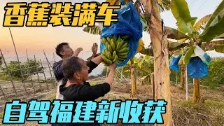 房车开到日落时分的乡野，香蕉装满车，一家四口自驾福建新收获【家和远方的旅行】