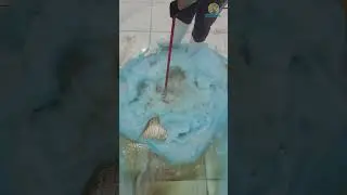 Cleaning satisfying the carpet covered in mud
