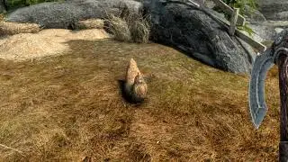 Skyrim SE - Don't touch the Chicken.