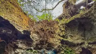 We hiked Peace Cave in Florida! 