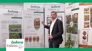 The New Plant Label Concepts From LuberaEdibles