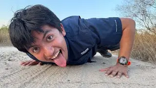 Tiny but Mighty ANTS || South Texas Plains Exploration