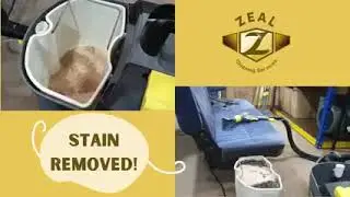 Sofa Shampooing by Zeal Cleaning Services (K.K)