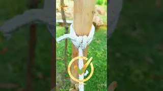 Very useful knot and fast tying. দ্রুত দড়ি গিঁট. #fastknot #fasttyping #easyknot #দড়িগিঁট #tying