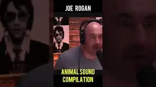 Joe Rogan Animal Sound Compilation