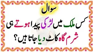 50+ Amazing General Knowledge Questions In Urdu | Islamic Paheliyan | Urdu Swal O Jawab | Urdu GK 