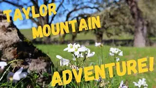 Adventure to Taylor Mountain
