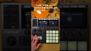 Live Techno Jam on Maschine+ (No DAW, Just Hardware) #maschineplus #dawlessjam #technomusic