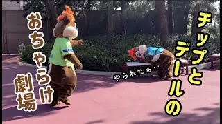 【チップとデール】おちゃらけ劇場！5月に撮影したものです^ ^