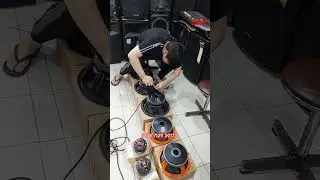 Speaker ASHLEY 12