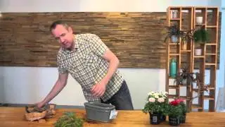 Inspiration with Ranunculus Sprinkles and Dennis van Wonderen