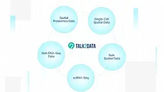 Talk2Data Next Version