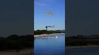 Rex Airlines Boeing 737 take off from Sydney 🤍 thank you for your service! #planespotting #rex