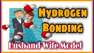 What is Hydrogen bond ? | Types of hydrogen bonding | Intermolecular hydrogen bonding |